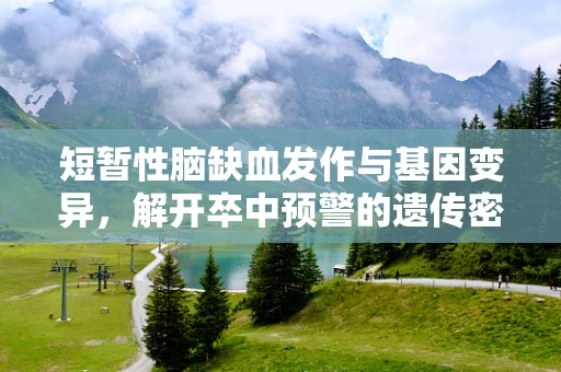 短暂性脑缺血发作与基因变异，解开卒中预警的遗传密码