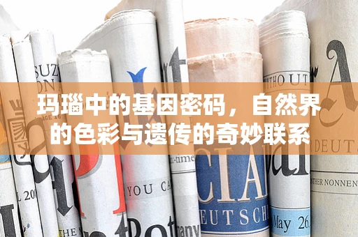 玛瑙中的基因密码，自然界的色彩与遗传的奇妙联系
