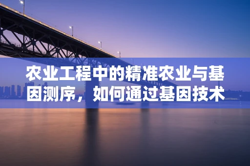 农业工程中的精准农业与基因测序，如何通过基因技术优化作物育种？