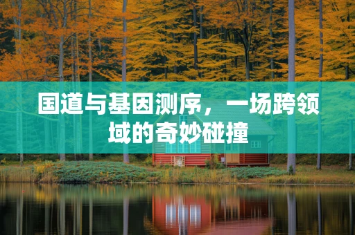 国道与基因测序，一场跨领域的奇妙碰撞
