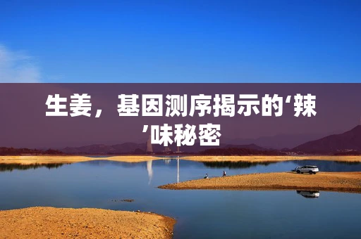生姜，基因测序揭示的‘辣’味秘密