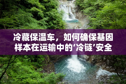 冷藏保温车，如何确保基因样本在运输中的‘冷链’安全？