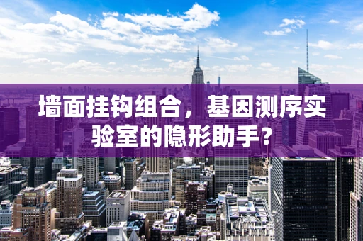 墙面挂钩组合，基因测序实验室的隐形助手？