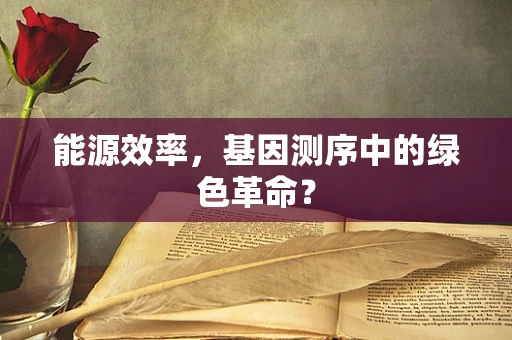 能源效率，基因测序中的绿色革命？