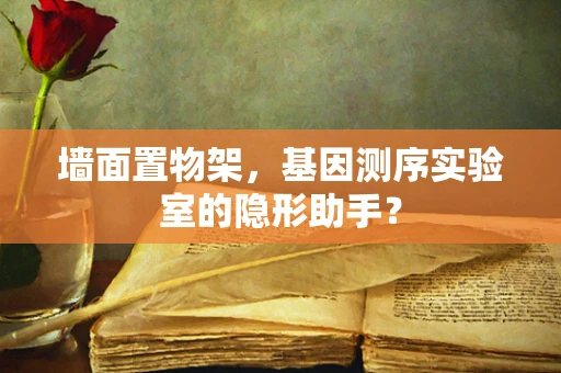 墙面置物架，基因测序实验室的隐形助手？