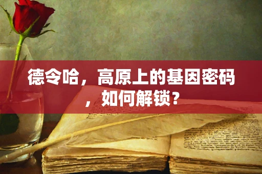 德令哈，高原上的基因密码，如何解锁？