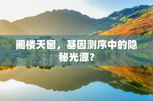 阁楼天窗，基因测序中的隐秘光源？