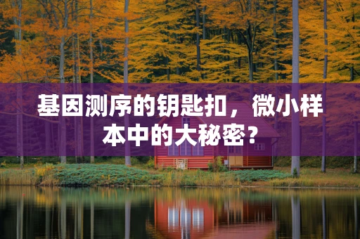 基因测序的钥匙扣，微小样本中的大秘密？