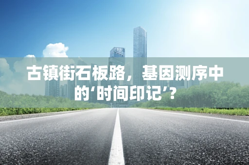 古镇街石板路，基因测序中的‘时间印记’？