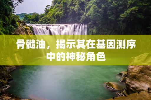 骨髓油，揭示其在基因测序中的神秘角色