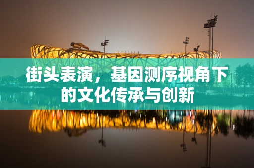 街头表演，基因测序视角下的文化传承与创新