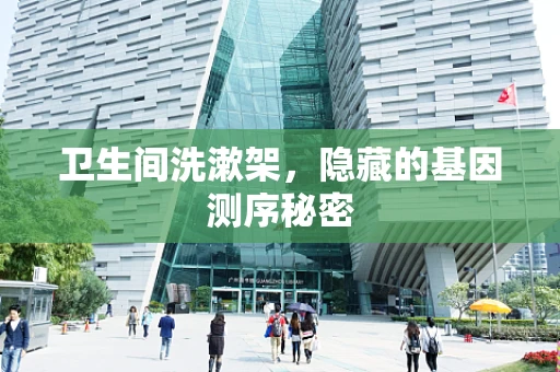 卫生间洗漱架，隐藏的基因测序秘密