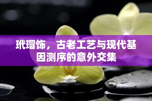 玳瑁饰，古老工艺与现代基因测序的意外交集