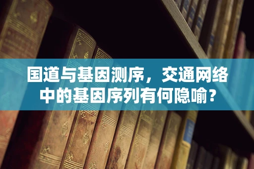 国道与基因测序，交通网络中的基因序列有何隐喻？