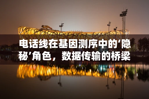 电话线在基因测序中的‘隐秘’角色，数据传输的桥梁？