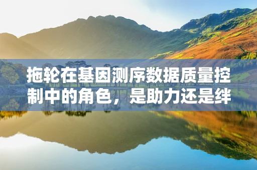 拖轮在基因测序数据质量控制中的角色，是助力还是绊脚石？