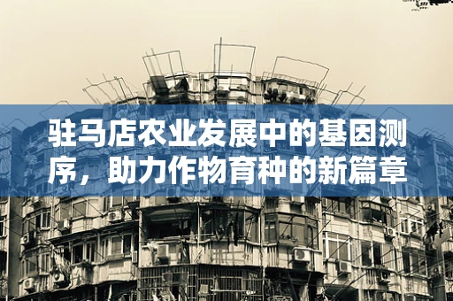 驻马店农业发展中的基因测序，助力作物育种的新篇章？