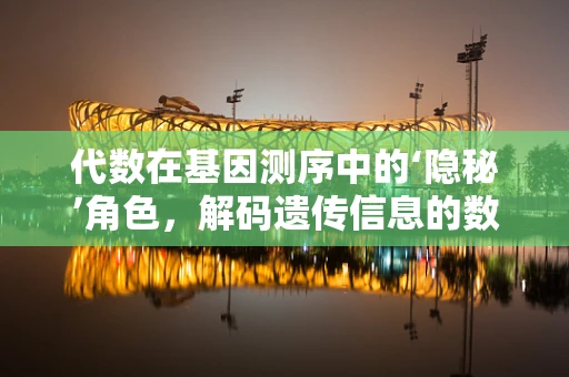 代数在基因测序中的‘隐秘’角色，解码遗传信息的数学钥匙？