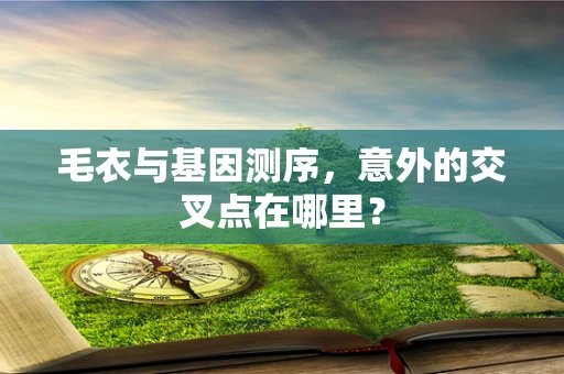 毛衣与基因测序，意外的交叉点在哪里？