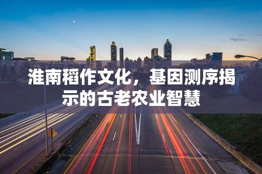 淮南稻作文化，基因测序揭示的古老农业智慧