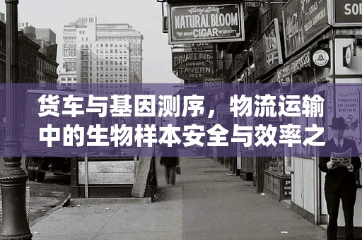 货车与基因测序，物流运输中的生物样本安全与效率之谜