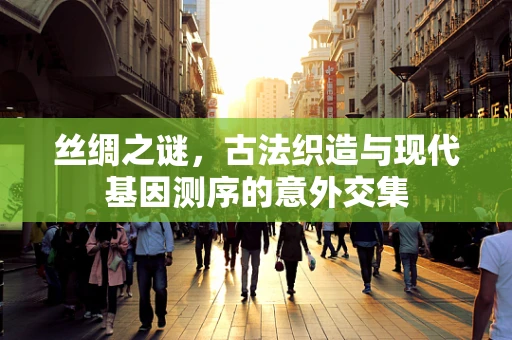 丝绸之谜，古法织造与现代基因测序的意外交集