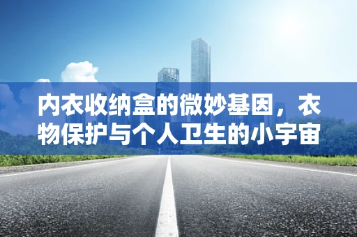 内衣收纳盒的微妙基因，衣物保护与个人卫生的小宇宙