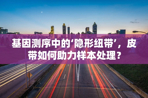 基因测序中的‘隐形纽带’，皮带如何助力样本处理？