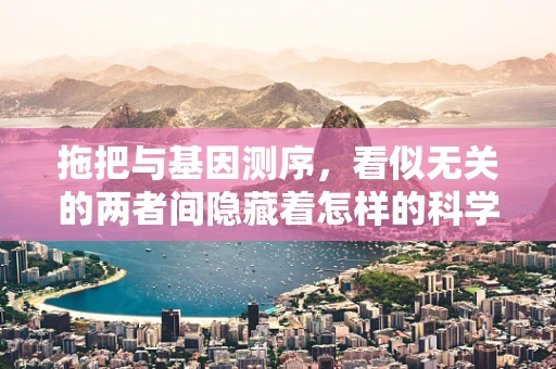 拖把与基因测序，看似无关的两者间隐藏着怎样的科学联系？