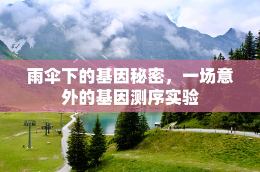 雨伞下的基因秘密，一场意外的基因测序实验