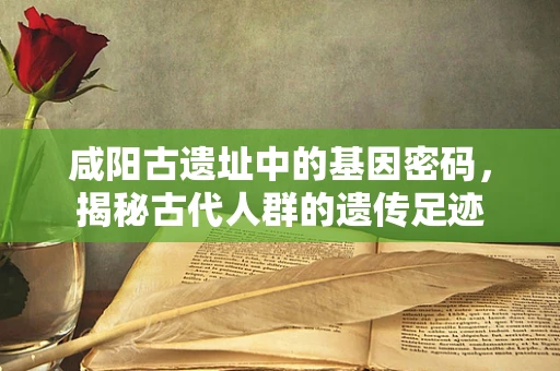 咸阳古遗址中的基因密码，揭秘古代人群的遗传足迹