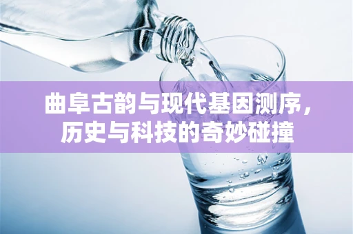 曲阜古韵与现代基因测序，历史与科技的奇妙碰撞