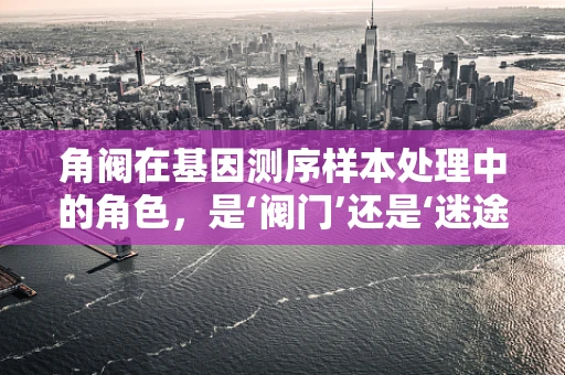 角阀在基因测序样本处理中的角色，是‘阀门’还是‘迷途的羔羊’？