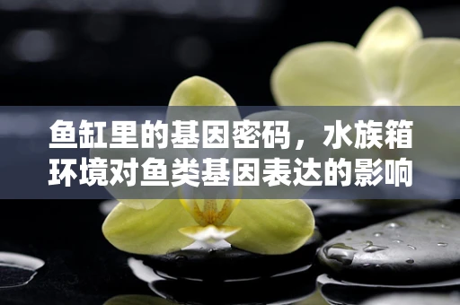鱼缸里的基因密码，水族箱环境对鱼类基因表达的影响