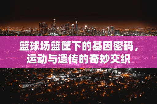 篮球场篮筐下的基因密码，运动与遗传的奇妙交织
