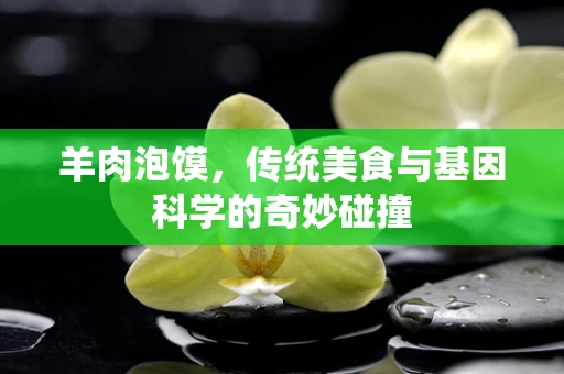 羊肉泡馍，传统美食与基因科学的奇妙碰撞