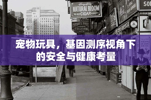 宠物玩具，基因测序视角下的安全与健康考量