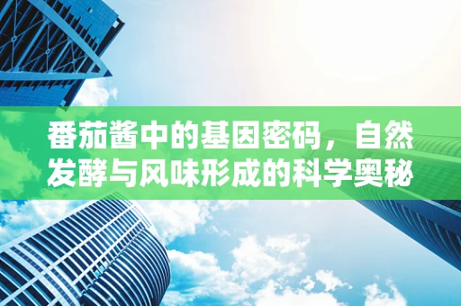番茄酱中的基因密码，自然发酵与风味形成的科学奥秘