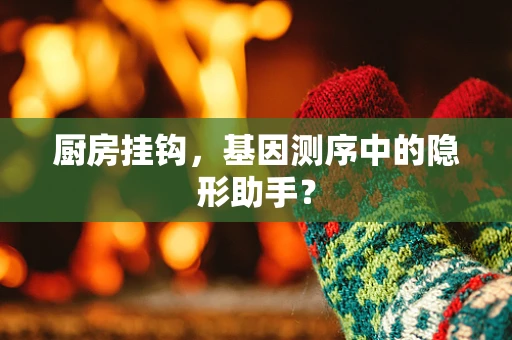厨房挂钩，基因测序中的隐形助手？