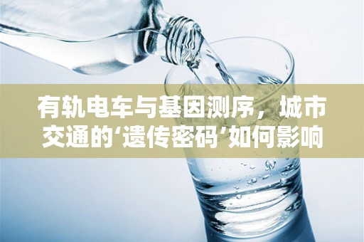 有轨电车与基因测序，城市交通的‘遗传密码’如何影响我们的出行选择？