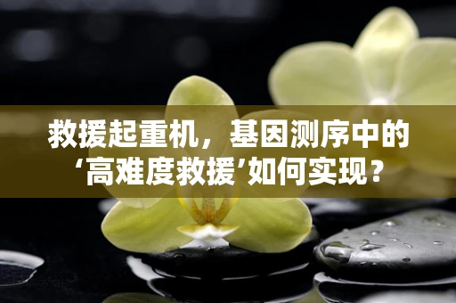 救援起重机，基因测序中的‘高难度救援’如何实现？