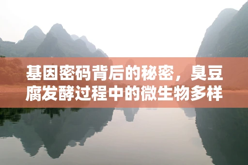 基因密码背后的秘密，臭豆腐发酵过程中的微生物多样性