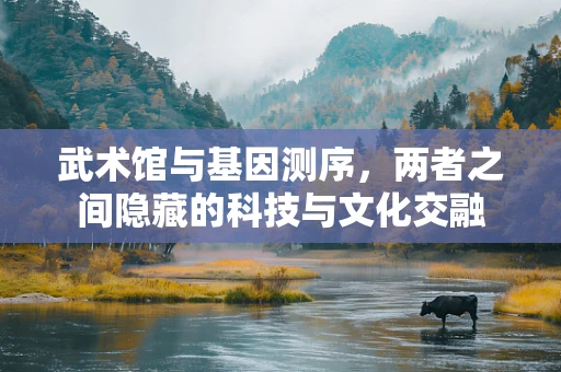 武术馆与基因测序，两者之间隐藏的科技与文化交融