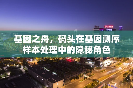 基因之舟，码头在基因测序样本处理中的隐秘角色
