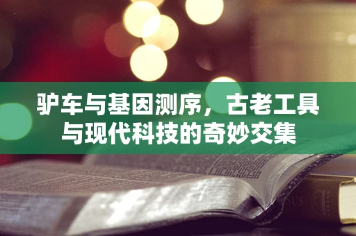 驴车与基因测序，古老工具与现代科技的奇妙交集