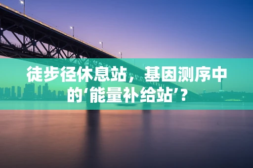 徒步径休息站，基因测序中的‘能量补给站’？