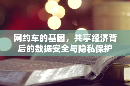 网约车的基因，共享经济背后的数据安全与隐私保护