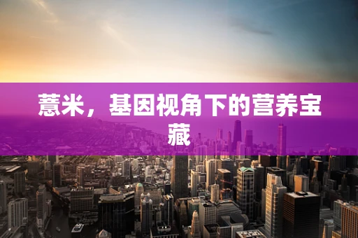 薏米，基因视角下的营养宝藏