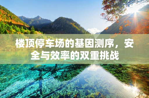 楼顶停车场的基因测序，安全与效率的双重挑战