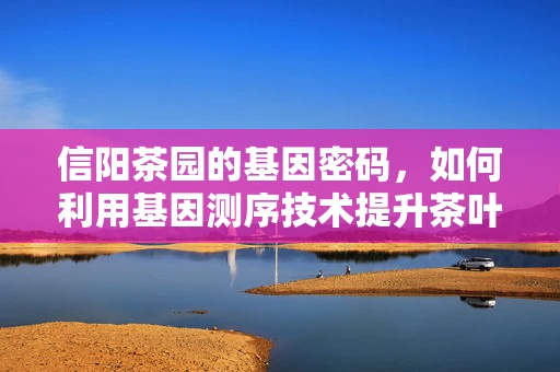 信阳茶园的基因密码，如何利用基因测序技术提升茶叶品质？